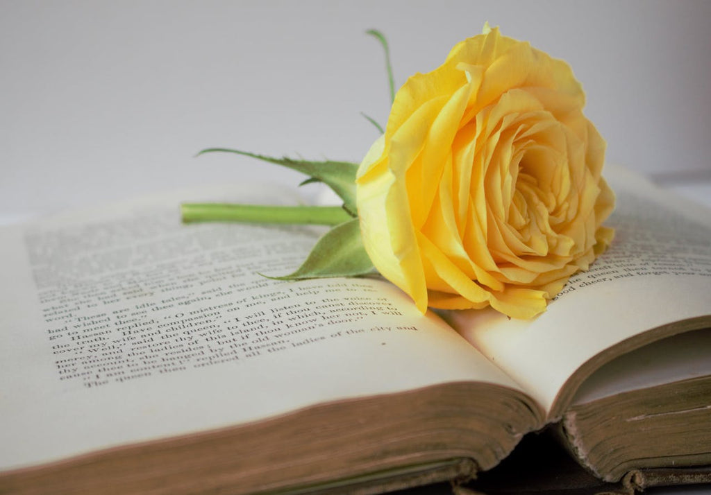 What Do Yellow Roses Mean?