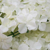 Hydrangea Artificial Flower Wall Mat Panel - Cream - 4 panels