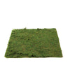 18inch x 16inch Preserved Natural Moss Roll