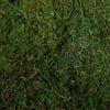 18inch x 16inch Preserved Natural Moss Roll