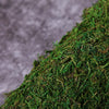 18inch x 16inch Preserved Natural Moss Roll