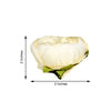 10 Pack | 3 inches Beige Silk Peony Flower Heads, Artificial Peonies For Flower Arrangement