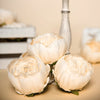 10 Pack | 3 inches Beige Silk Peony Flower Heads, Artificial Peonies For Flower Arrangement