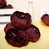 10 Pack | 3inches Silk Peony Flower Heads, Artificial Peonies For Flower Arrangement - Burgundy