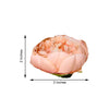 10 Pack | 3inch Silk Peony Flower Heads, Artificial Peonies For Flower Arrangement - Peach