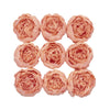 10 Pack | 3inch Silk Peony Flower Heads, Artificial Peonies For Flower Arrangement - Peach
