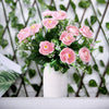 4 Bushes | 12inches Pink Peony Flower Bouquet, Artificial Flower Arrangements
