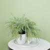 2 Bushes | 15Inch Sagebrush Faux Fern Stems, Artificial Plants Greenery Decor - Frosted Green