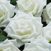 24 Roses 5inch Ivory Artificial Foam Rose With Stems And Leaves 16 Colors