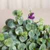 2 Bushes | 19'' Tall Frosted Green Artificial Eucalyptus Sprays#whtbkgd