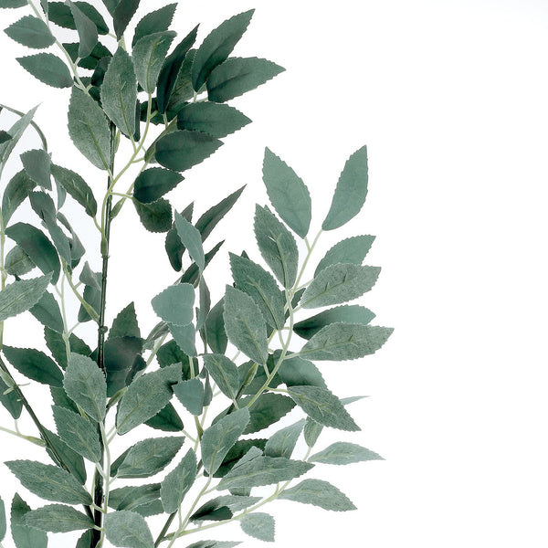 2 Stems | 42inch Honey Locust Leaves Spray, Artificial Greenery - Frosted Dark Green#whtbkgd