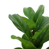 2 Pack | 25Inch Artificial Fiddle Leaf Stem Faux Greenery Centerpiece Decor#whtbkgd