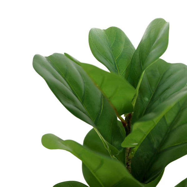 2 Pack | 25Inch Artificial Fiddle Leaf Stem Faux Greenery Centerpiece Decor#whtbkgd