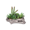 6" Long - Succulent Planter with 15 Artificial Succulents - Artificial Plants#whtbkgd