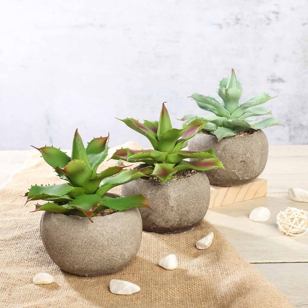 succulents fake plants Set of 3
