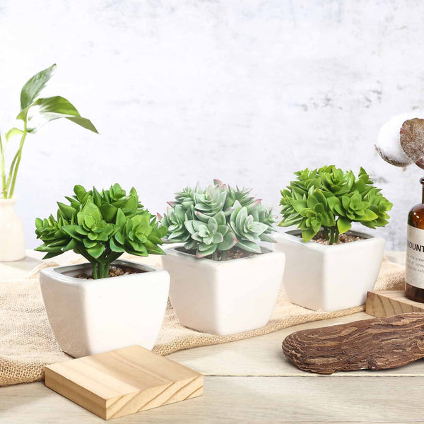 fake succulents potted Set of 3