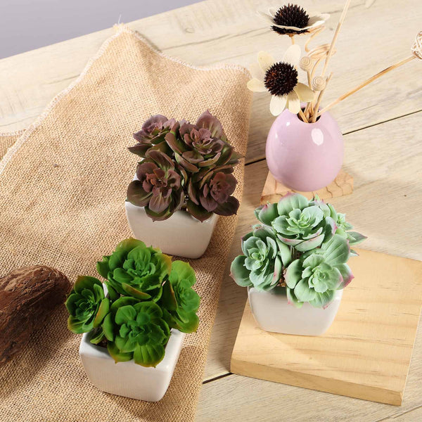 mini faux succulents in pots Set of 3