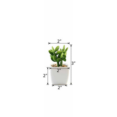 Set of 3 | 3'' Assorted Green Mini Artificial Plants with Pots