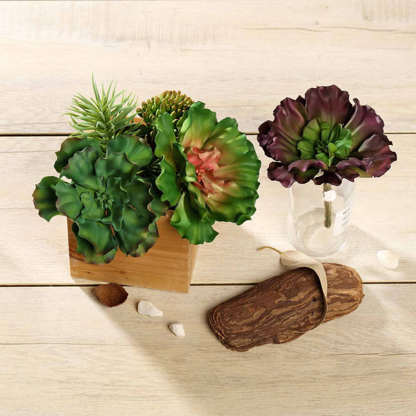 silk succulents Set of 3