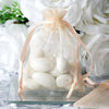 3"x4" Peach Organza Jewellery Wedding Birthday Party Favor Gift Drawstring Pouches Bags - 10/pk