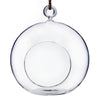 Graceful Globe Glass Terrarium 4/pk