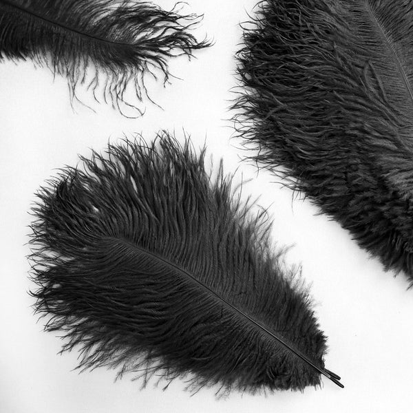 Ostrich Feather Tail Plumes 15-18 (Black) for Sale Online