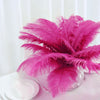 12 Pack | 13"-15" Natural Plume Real Ostrich Feathers Vase Centerpiece - Fushia