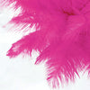 12 Pack | 13"-15" Natural Plume Real Ostrich Feathers Vase Centerpiece - Fushia