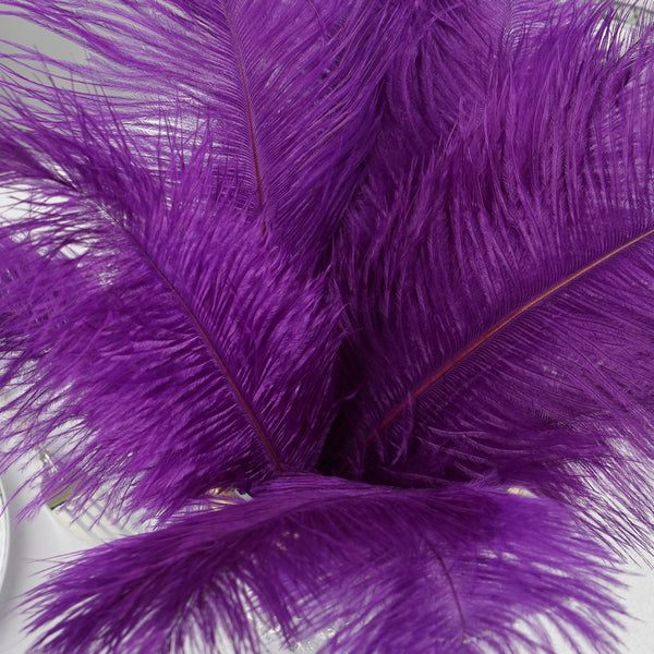 12 Pack, 13-15 Purple Natural Plume Real Ostrich Feathers, DIY  Centerpiece Fillers