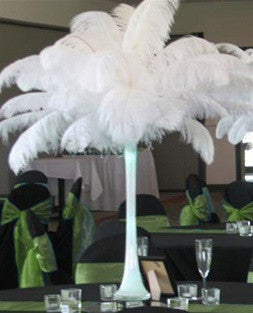 12 Pack | 13"-15" Natural Plume Real Ostrich Feathers Vase Centerpiece - White