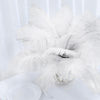 12 Pack | 13"-15" Natural Plume Real Ostrich Feathers Vase Centerpiece - White