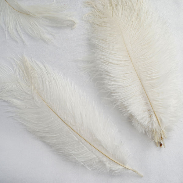 12 Pack | 13"-15" Natural Plume Real Ostrich Feathers Vase Centerpiece - White