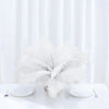 12 Pack | 13"-15" Natural Plume Real Ostrich Feathers Vase Centerpiece - White
