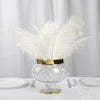 12 Pack | 13"-15" Natural Plume Real Ostrich Feathers Vase Centerpiece - White