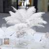 12 Pack | 13"-15" Natural Plume Real Ostrich Feathers Vase Centerpiece - White