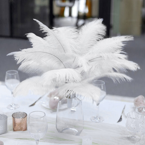 GIVIAN Natural Ostrich Feathers Bulk,Craft Flower Arrangement Wedding Party  Centerpieces Table Decoration,White Feathers for Vase