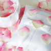 500 Silk Rose Petals For Wedding Party Table Confetti Decoration - Pink