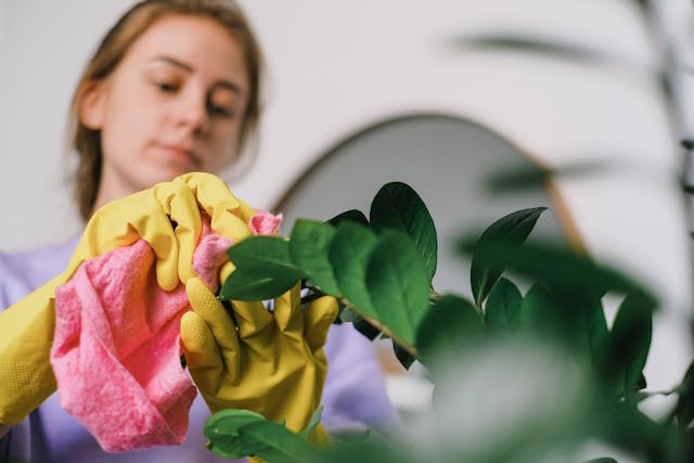 How to Clean Artificial Plants: 4 Quick Tricks for a Fresh Look