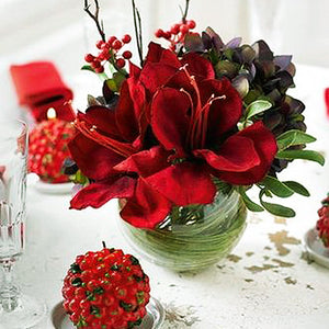  Amaryllis 