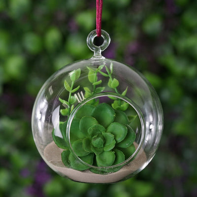 hanging air plant holder glass Set of 4