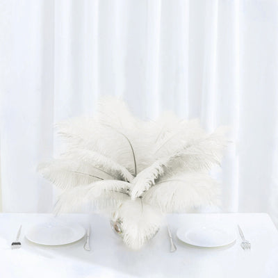 12 Pack | 13"-15" Natural Plume Real Ostrich Feathers, DIY Centerpiece Fillers