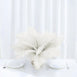 12 Pack | 13"-15" Natural Plume Real Ostrich Feathers, DIY Centerpiece Fillers