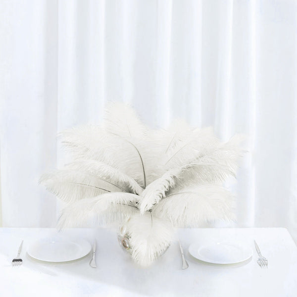 12 Pack | 13"-15" Natural Plume Real Ostrich Feathers, DIY Centerpiece Fillers