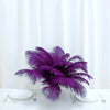 12 Pack | 13"-15" Natural Plume Real Ostrich Feathers, DIY Centerpiece Fillers