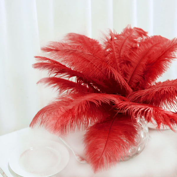 12 Pack | 13"-15" Natural Plume Real Ostrich Feathers, DIY Centerpiece Fillers