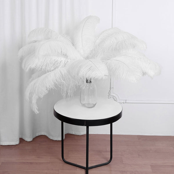 Set of 12 | 24"-26" Natural Plume Ostrich Feathers Centerpiece