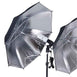Photography Photo Portrait Studio 600W Day Light Black/Silver Umbrella Continuous Lighting Kit