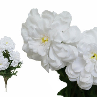 72 California Zinnia Flowers - White
