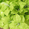 Eastern Lily Bush Artificial Silk Flowers - Sage Green