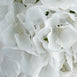 Hydrangea Kissing Ball Artificial Silk Flowers - White - 4 pack